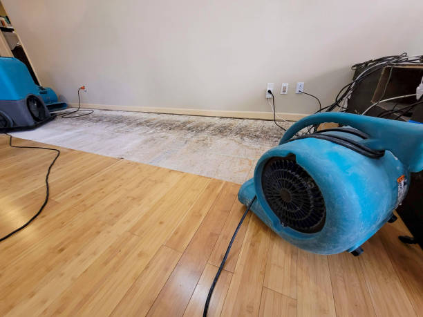 Professional Flood Damage Cleanup technician working in Berwick, IA
